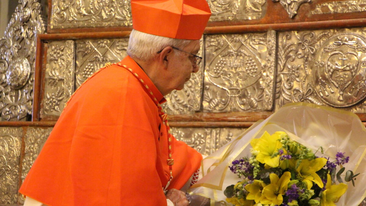Cardenal tomará posesión de título cardenalicio en Roma