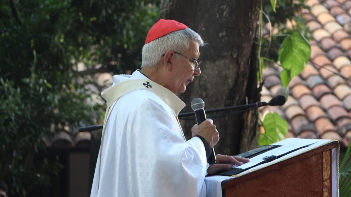 Mensaje del Cardenal por la Jornada Mundial de Oración por el Cuidado de la Creación 2026